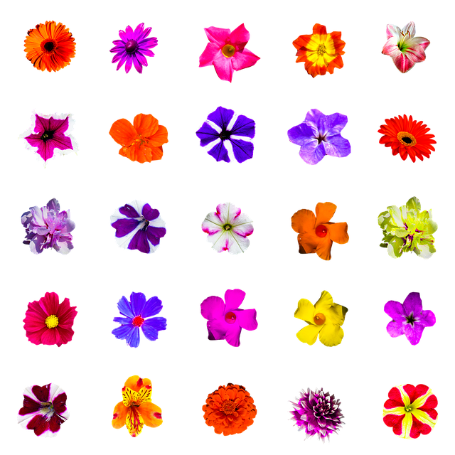 sesión individual coaching postural persona estirando espacio luminoso